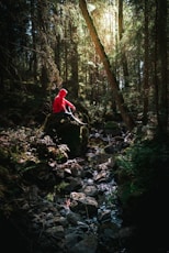 person sitting on rock