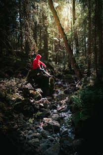 person sitting on rock