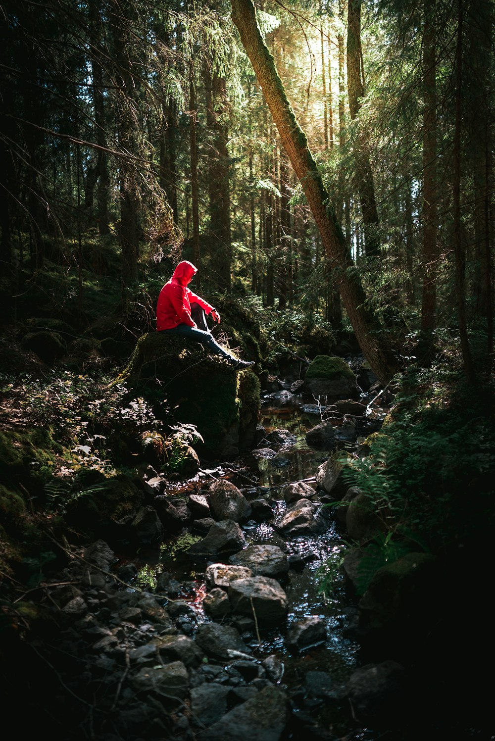 person sitting on rock