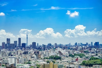 concrete high-rise buildings