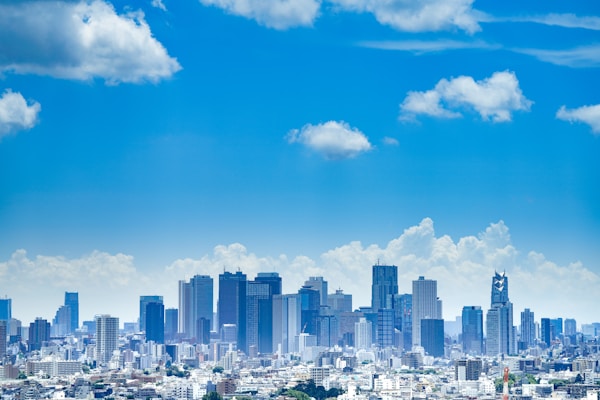 Exploring Tokyo's Local Cuisine: Dishes, Restaurants, and Recipes