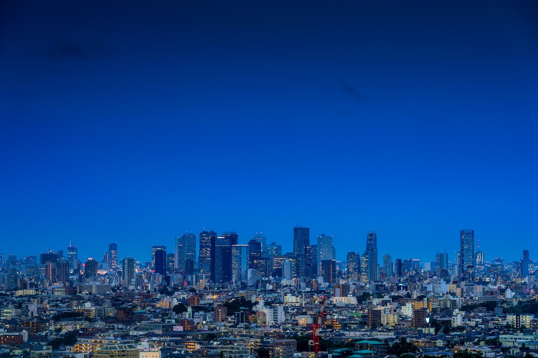 city photo, tokyo summer night