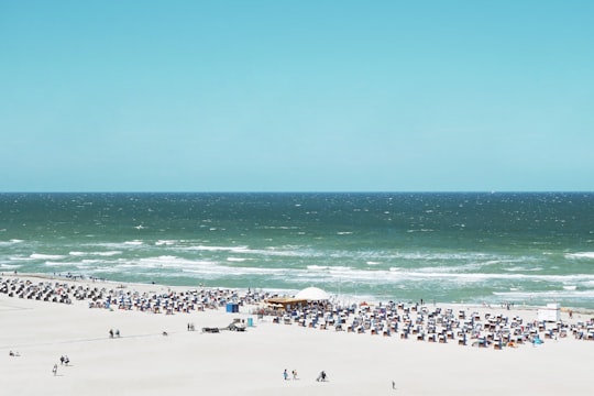 aerial view of people on sand near sea in Warnemünde Germany