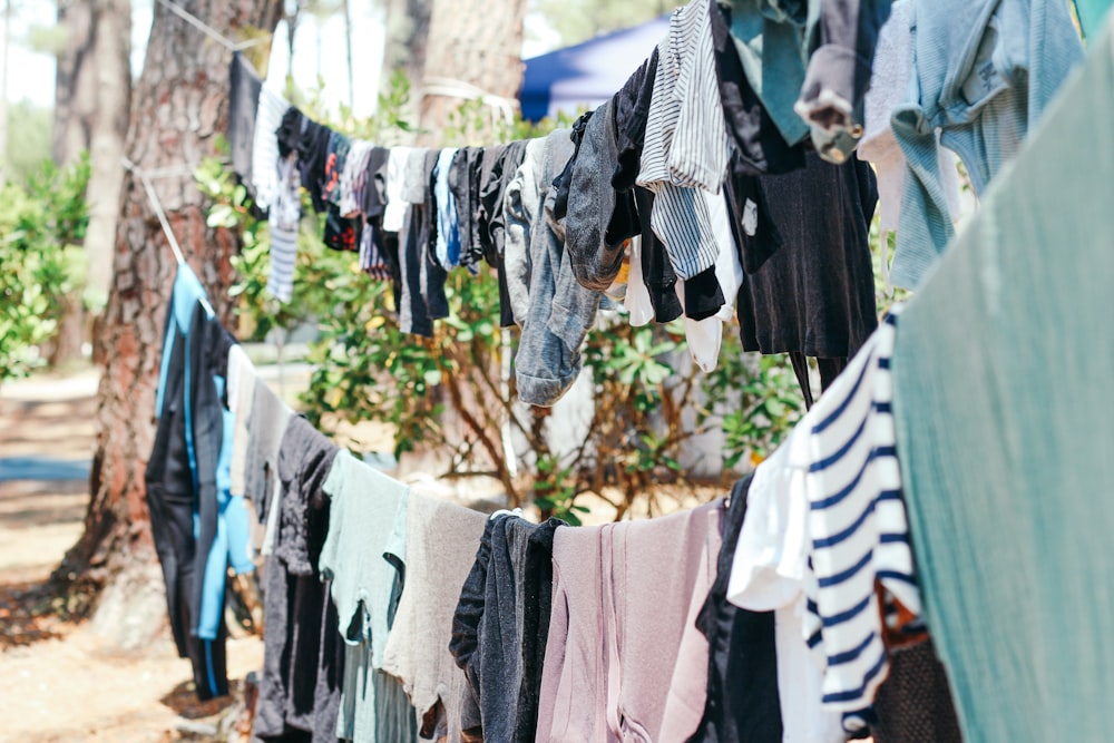 clothes hanged on rope