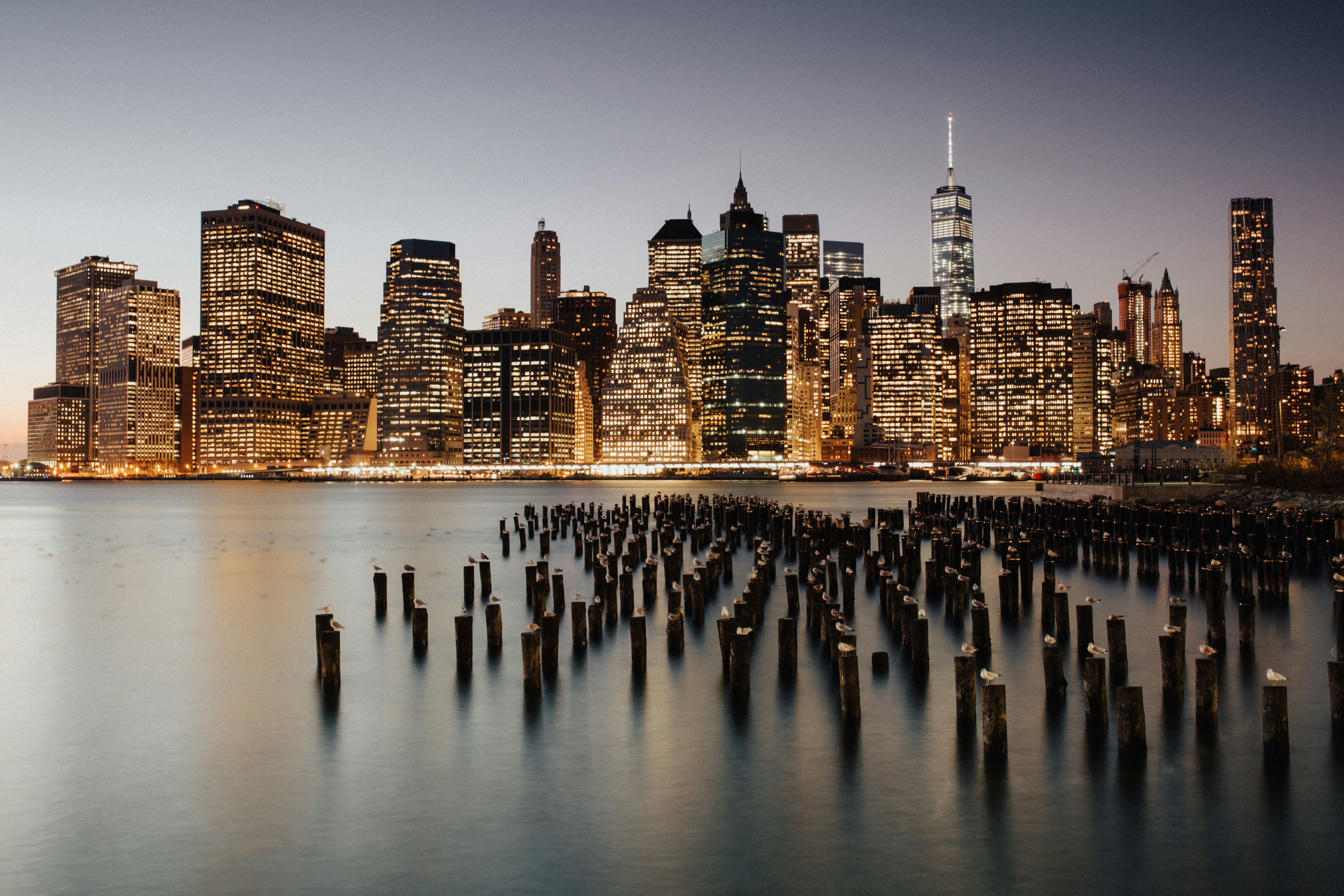 city buildings during nighttime