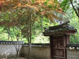 An eco-friendly automatic gate surrounded by lush greenery.