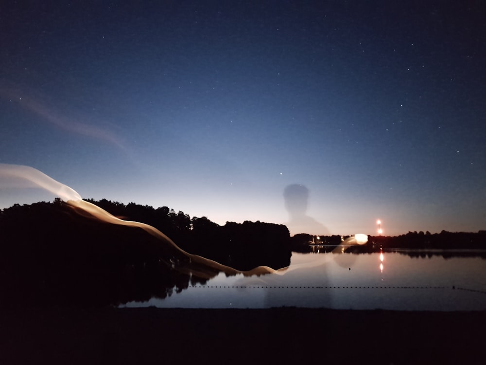 silhouette of trees