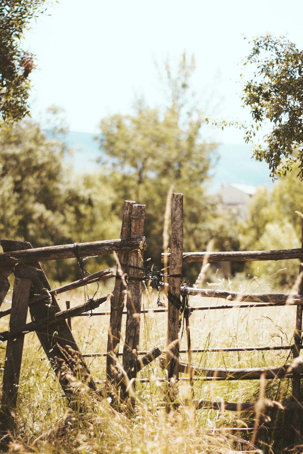 closeup photo of brown wooden gate closed