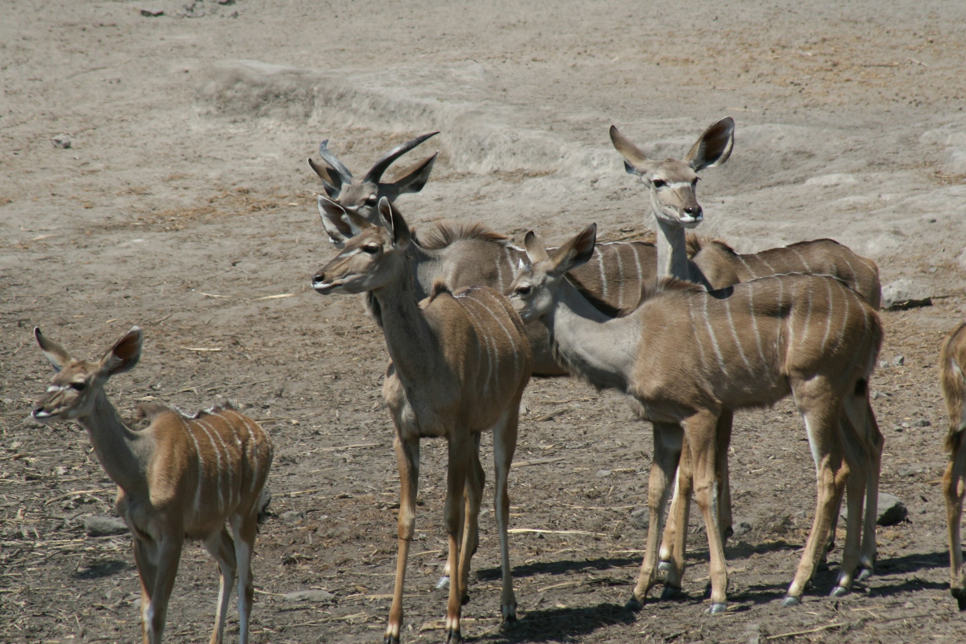 gray computer monitor