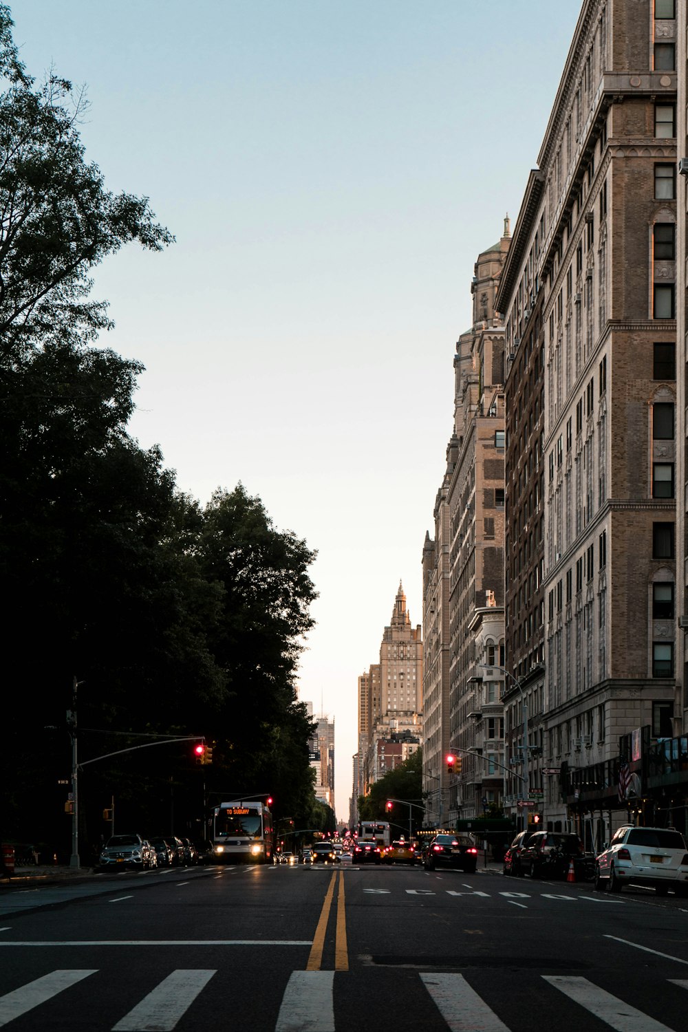 cars on asphalt road between trees and buildings