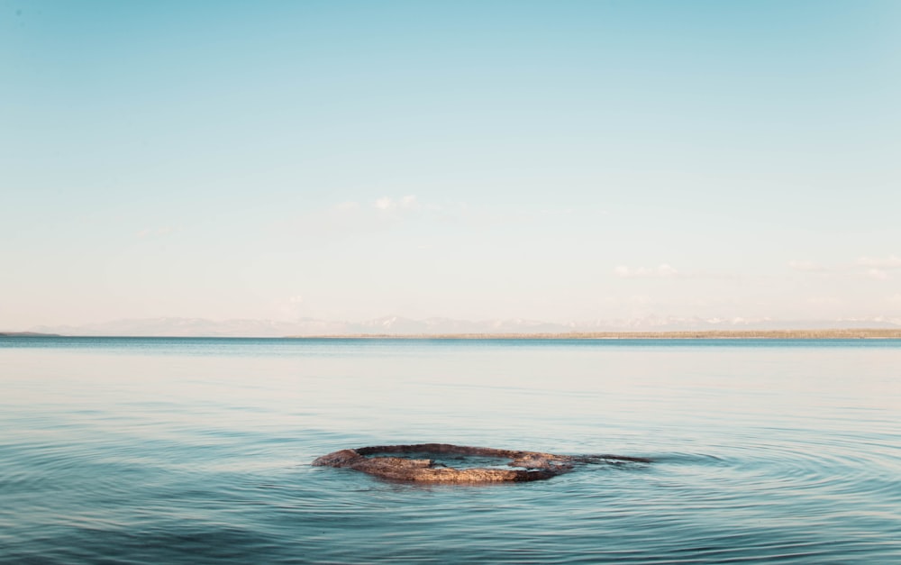 body of water under blue sky at daytime