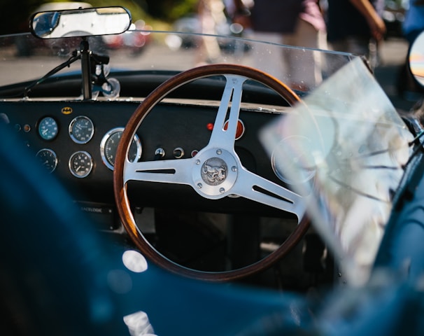 gray and brown steering wheel