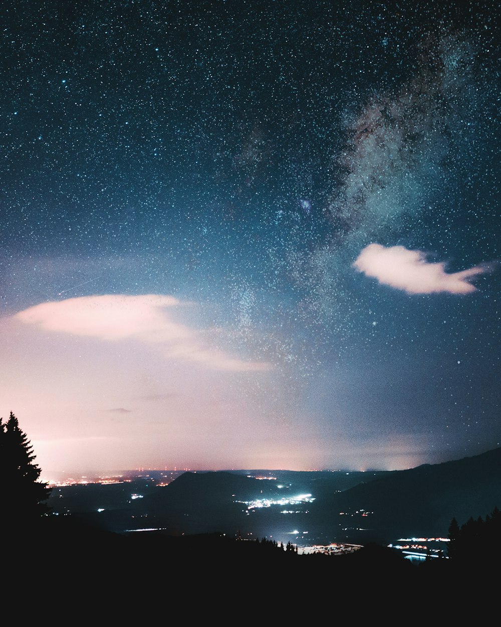 silhouette of trees during night time