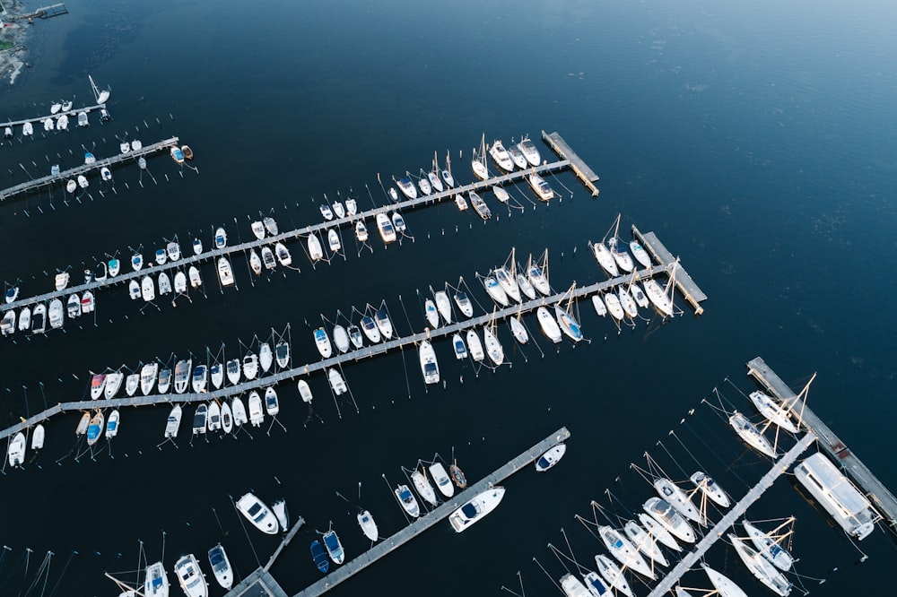 Photographie de vue aérienne de bateaux à quai