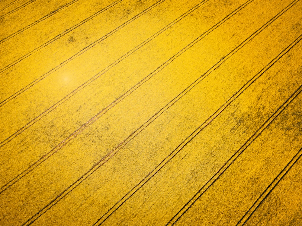 um close up de uma superfície amarela com linhas