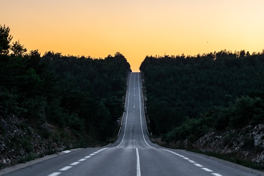 asphalt road between the trees in Sault France