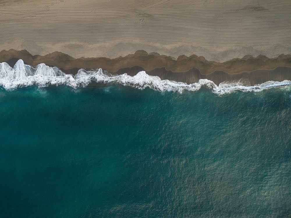 bird's eye view of seashore