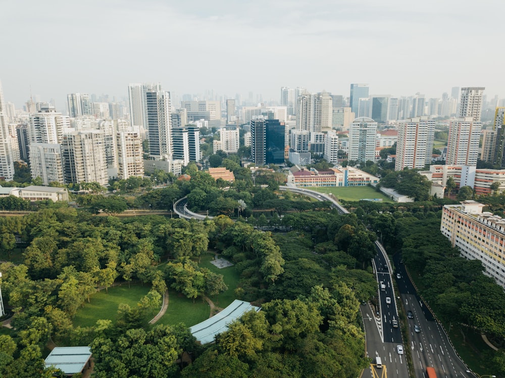 aerial photograph of city