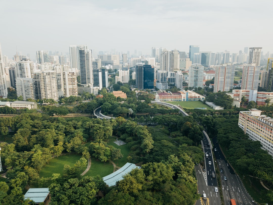 aerial photograph of city,
