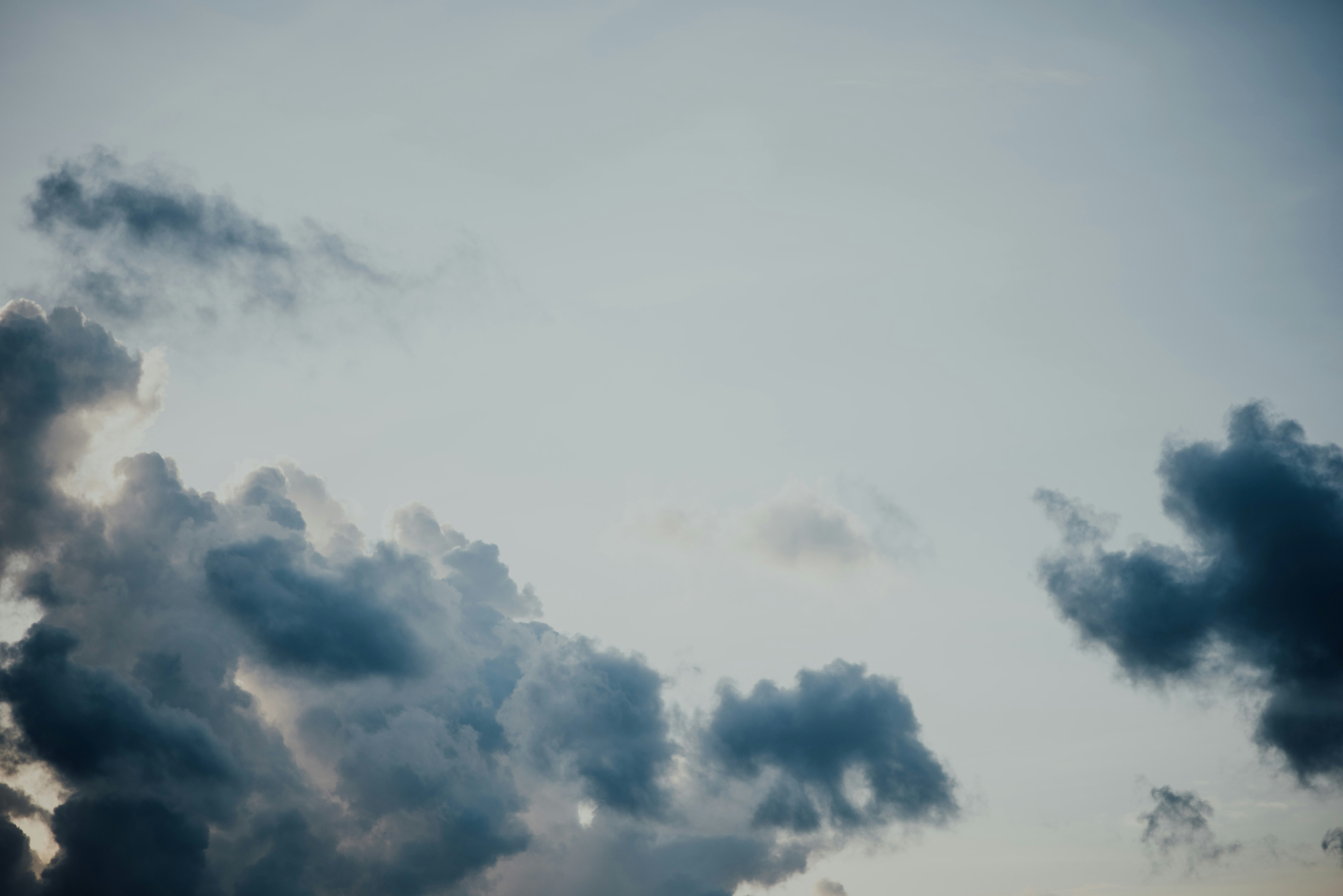 Photo by chuttersnap