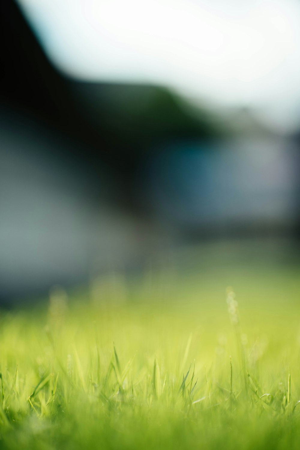 900 Blur Background Images Download HD Backgrounds on 900 Blur Background Images Download HD Backgrounds on
