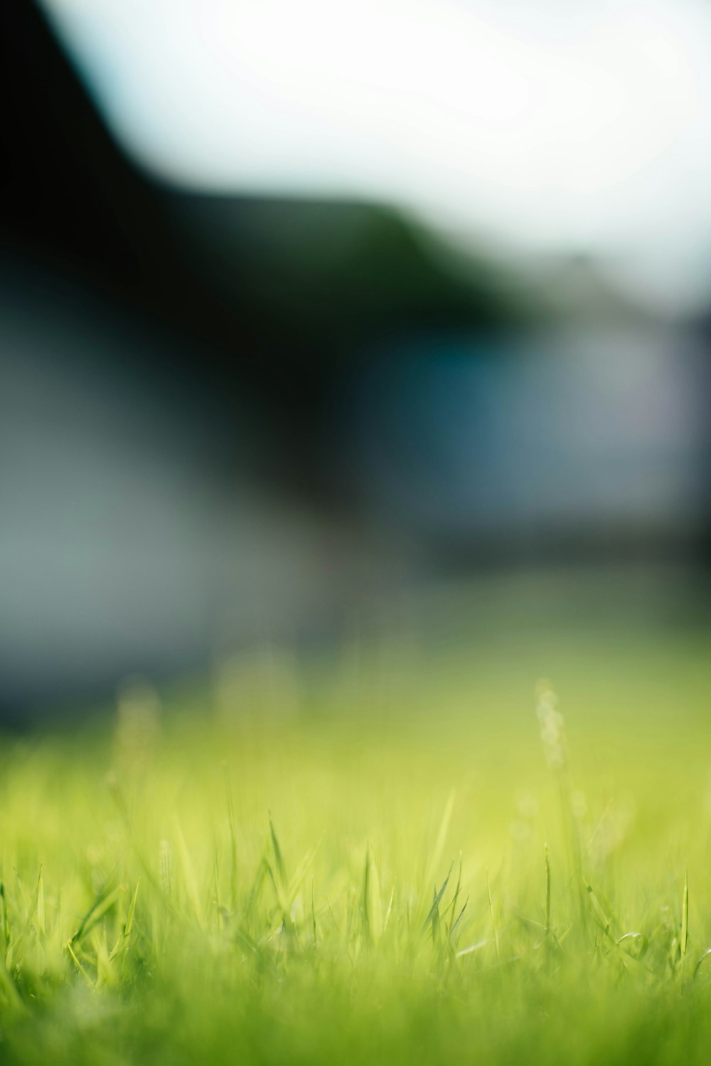 une photo floue d’un champ d’herbe verte