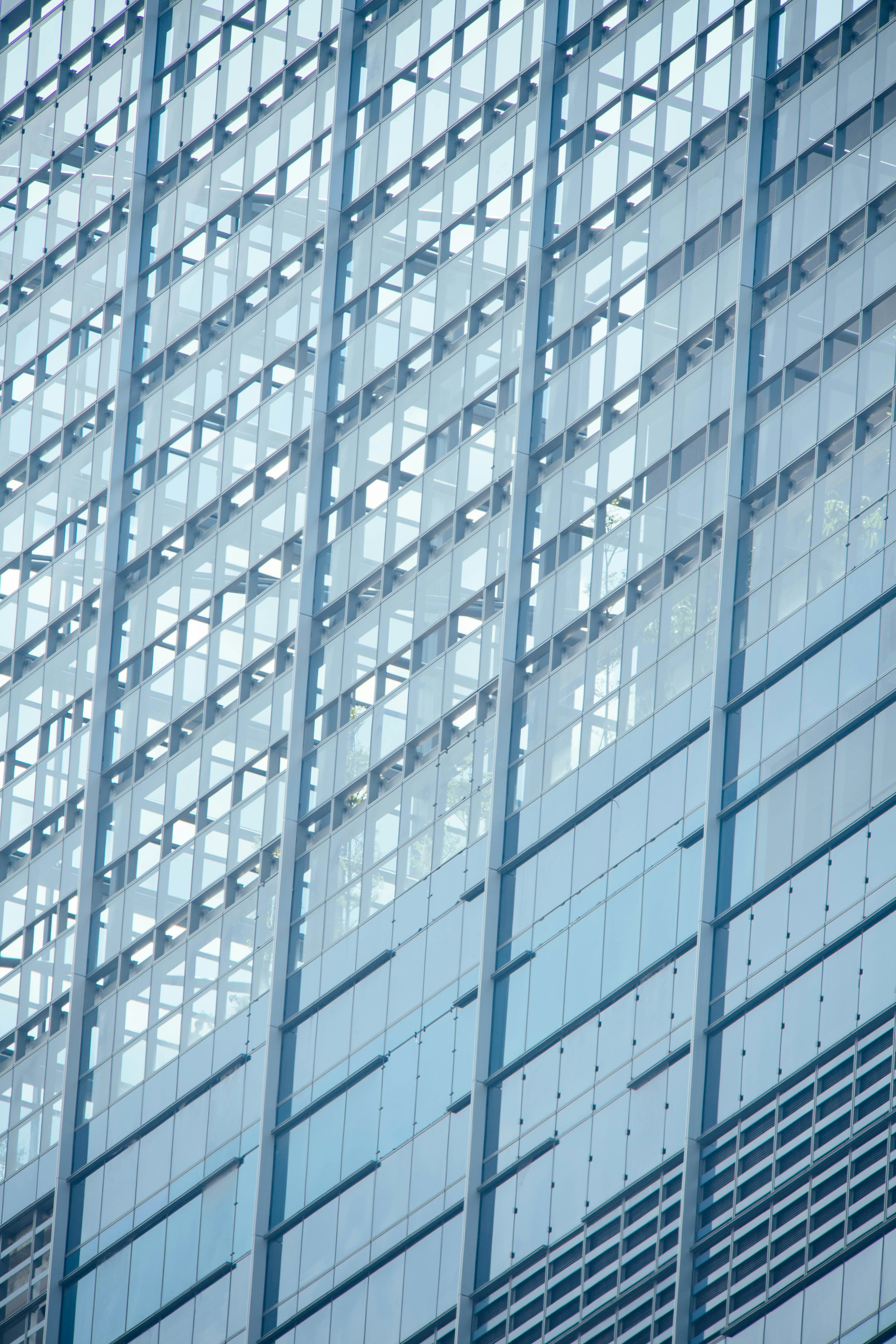 Photo by chuttersnap