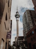 worm's-eye view photography of buildings