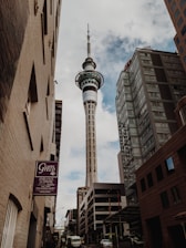 worm's-eye view photography of buildings