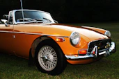 parked orange vehicle on grass