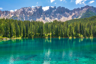 green grasses near body of water with mountain range in vicinity