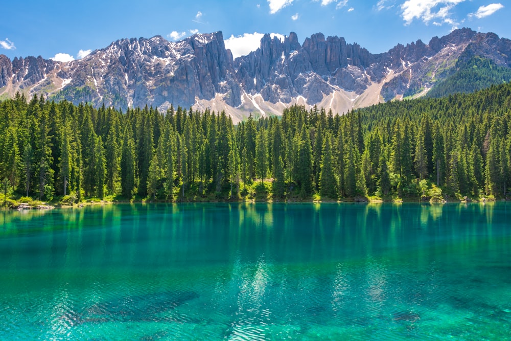 green grasses near body of water with mountain range in vicinity