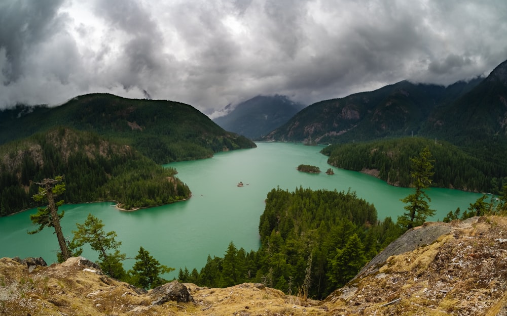 lake surrounded with trees under white clouds