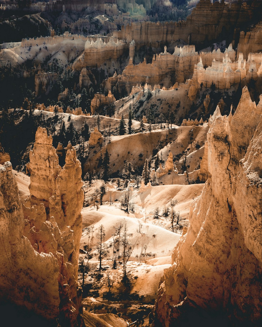 green trees surrounded mountains