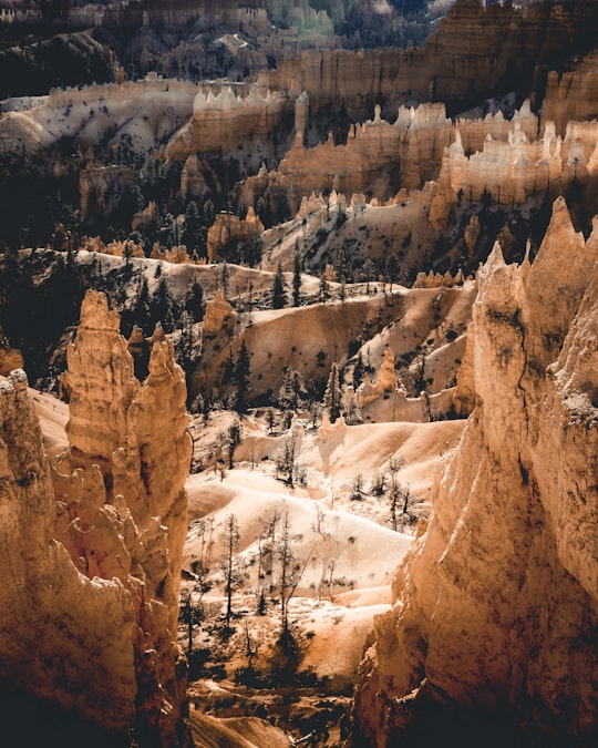 green trees surrounded mountains in Bryce Canyon National Park United States
