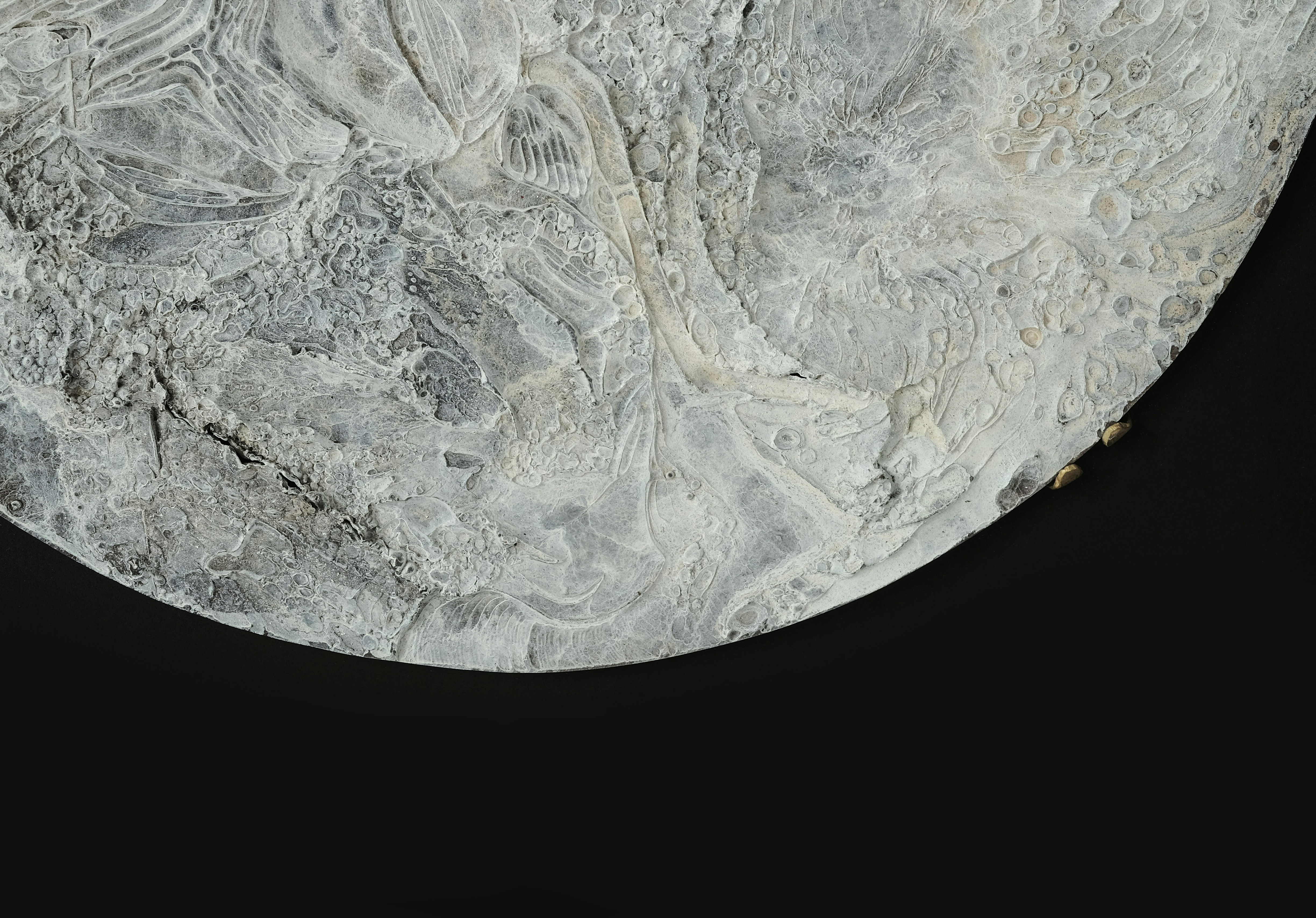 Your Specialist Referral Takes Months: The Access Bottleneck