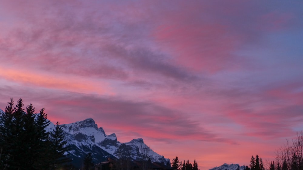 pink and gray sky during daytime