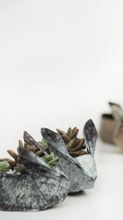 Several succulents are planted in small, sculptural concrete planters shaped like animal heads, resembling rabbits with distinct ears. The background is a soft white, creating a clean and minimalist aesthetic.
