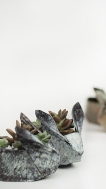Several succulents are planted in small, sculptural concrete planters shaped like animal heads, resembling rabbits with distinct ears. The background is a soft white, creating a clean and minimalist aesthetic.