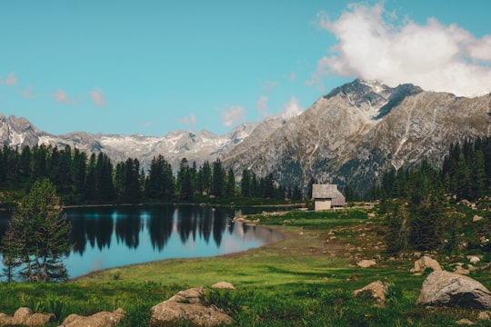 lake near trees across mountain in Valle Rendena Italy