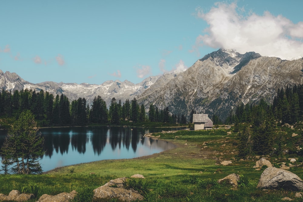 lake near trees across mountain