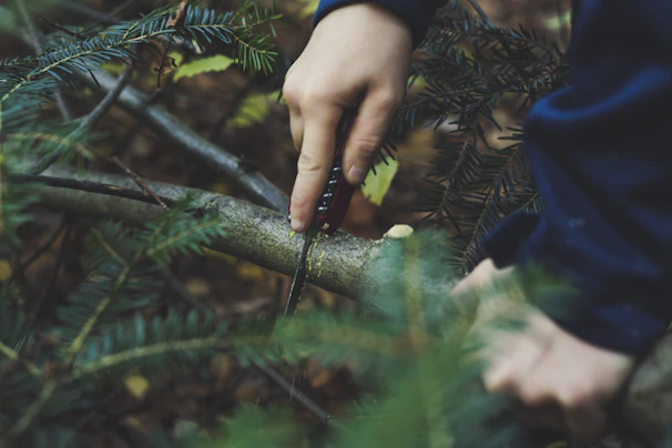 Close-up of specialized tree-cutting tools cleanly slicing a thick branch.