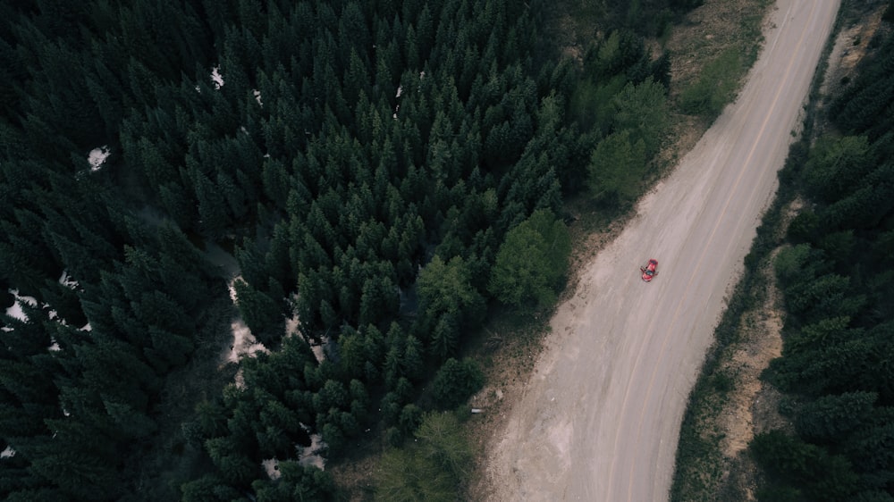 vehículo rojo que acelera en la carretera entre los árboles en la fotografía aérea