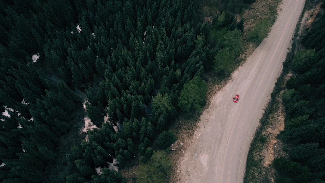 Road trip photo spot Duffey Lake Rd Canada