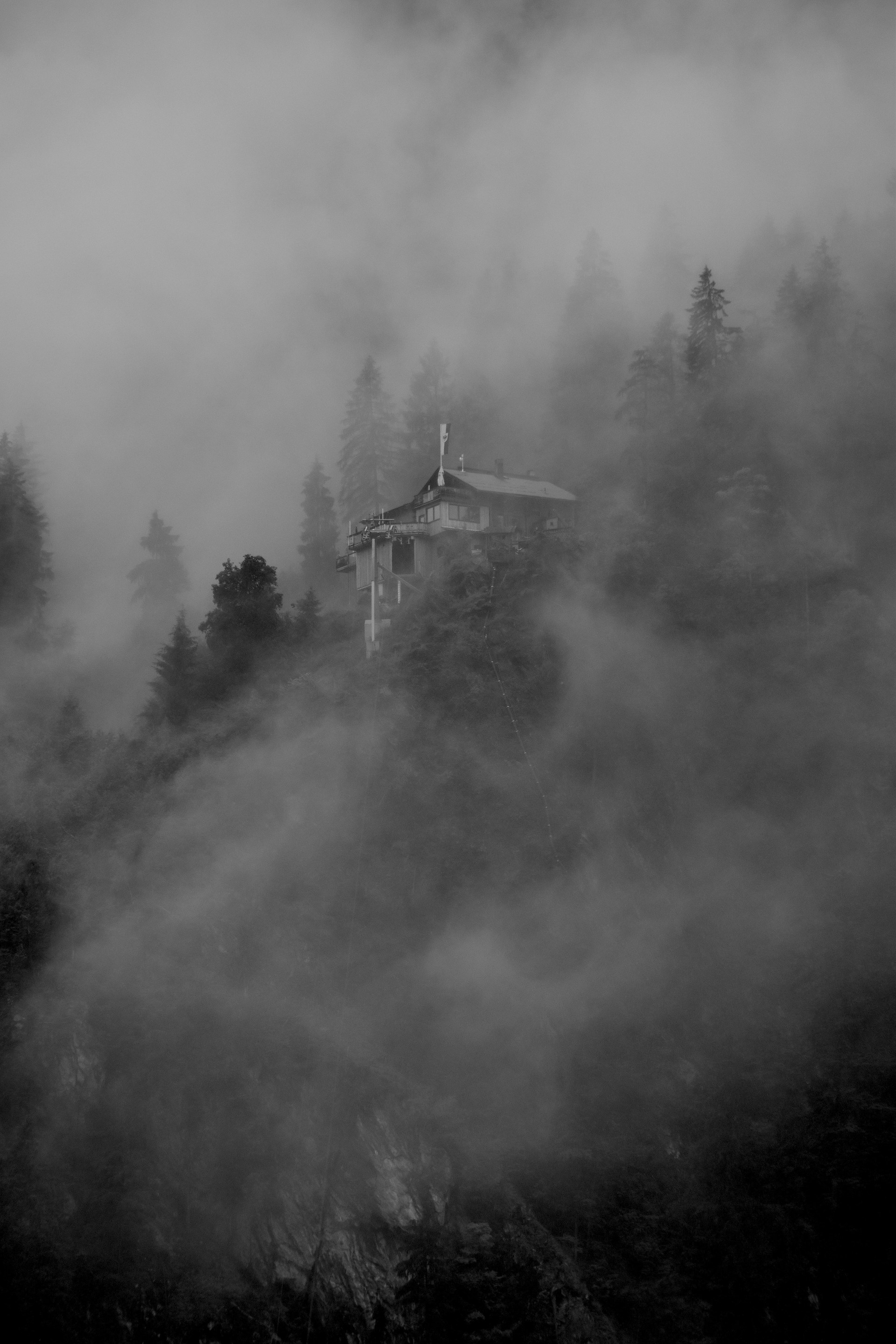 grayscale photography of foggy forest