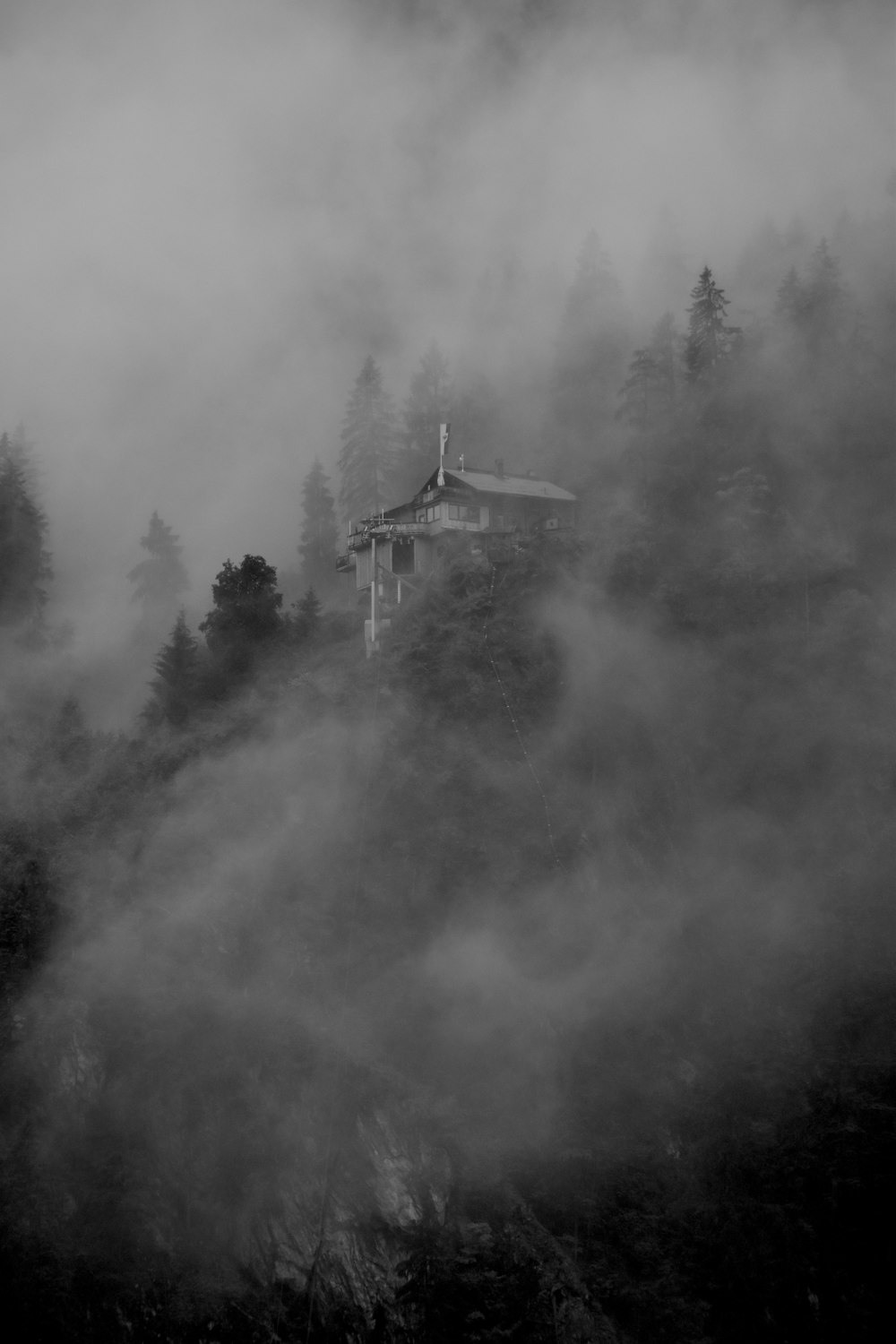grayscale photography of foggy forest