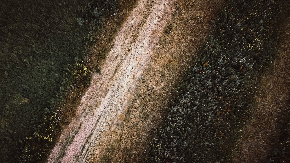 나무 사이의 비포장 도로의 항공 사진