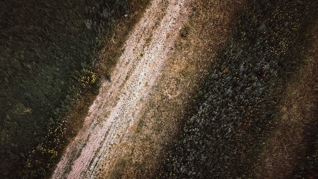 aerial photograph of dirt road between trees