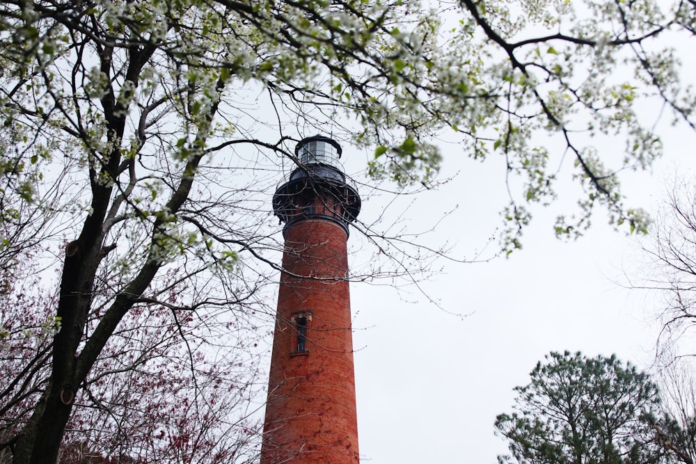 brown and black lighthouse near green tree during daytime