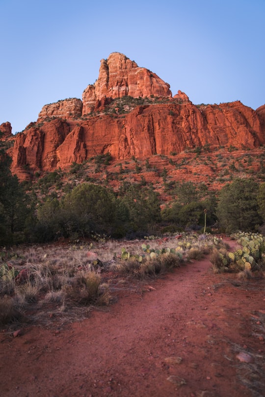 Monument Valley during daytime in Coconino National Forest United States